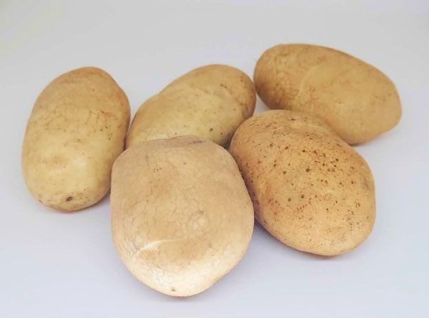 【単品販売】じゃがいも(ホッカイコガネ)3kg・5kg・10kg【産地直送】