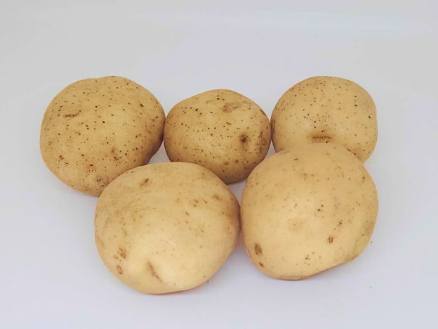 【単品販売】じゃがいも(きたひめ)3kg・5kg・10kg【産地直送】
