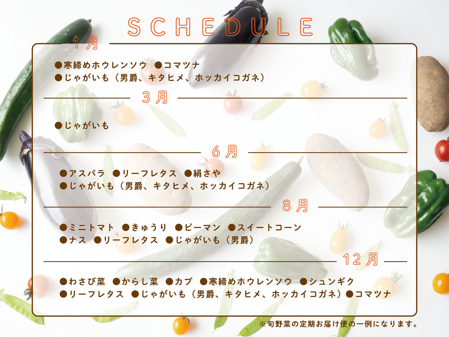 【定期便】旬野菜の定期お届け便【数量限定】