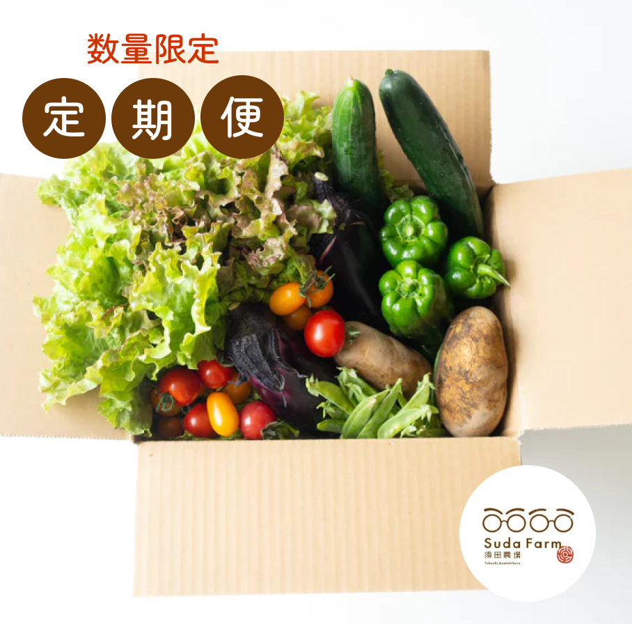 【定期便】旬野菜の定期お届け便【数量限定】
