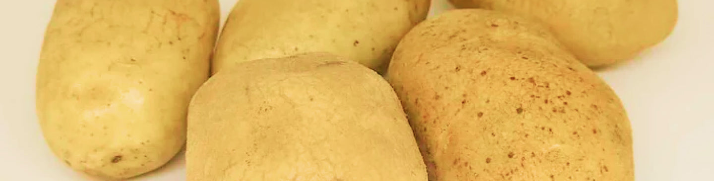 じゃがいもについて – 北海道・十勝 須田農場